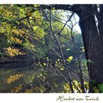 Herbst am Teich (2)