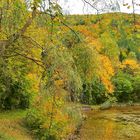 Herbst am Teich 2