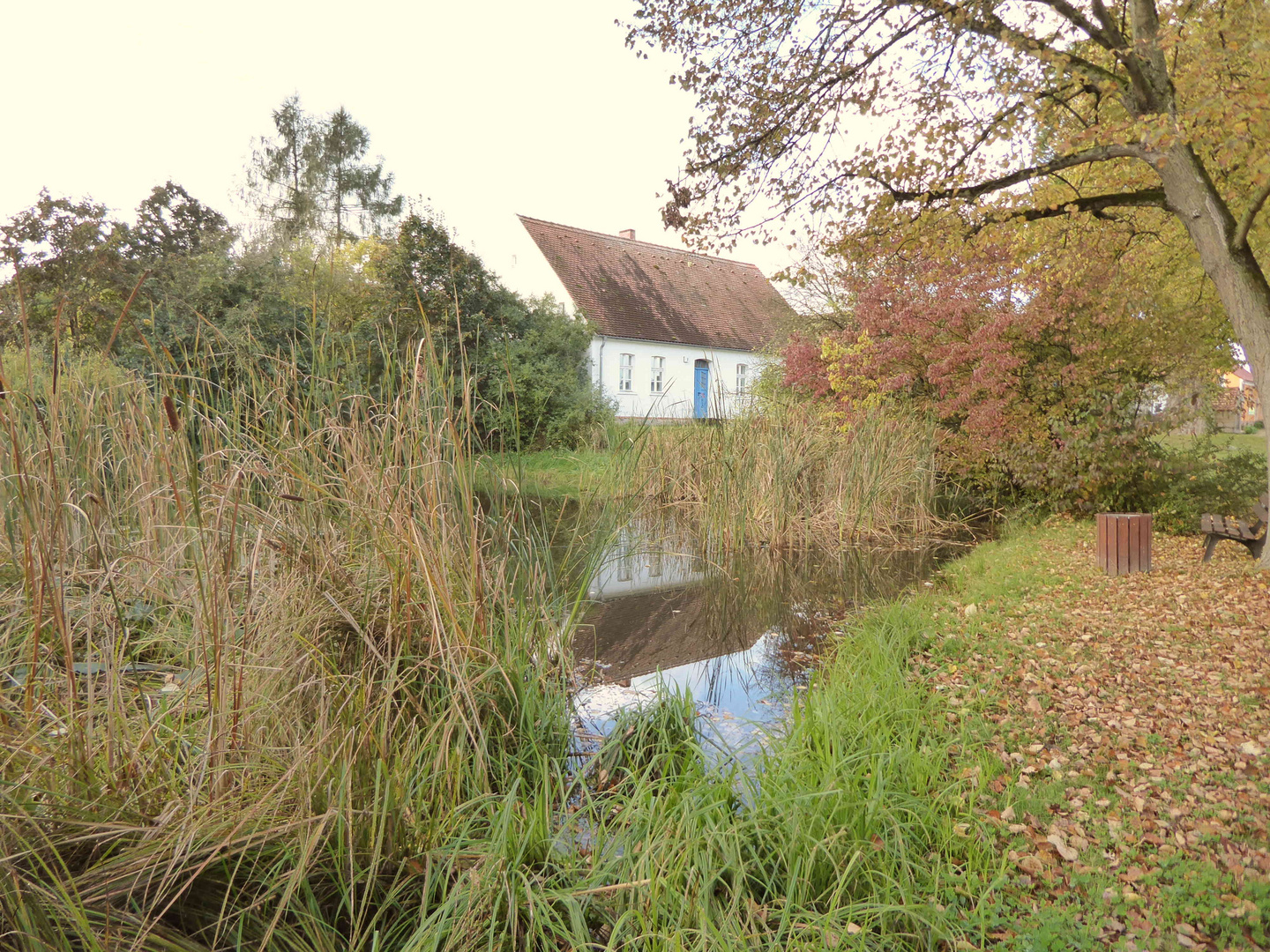 Herbst am Teich