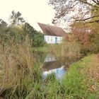 Herbst am Teich