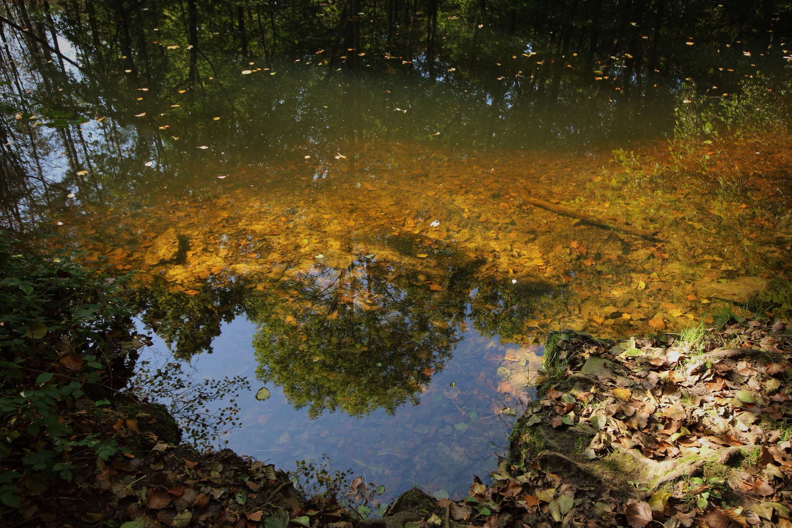 Herbst am Teich....