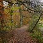 Herbst am Teich