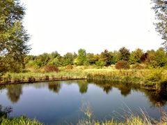 Herbst am Teich