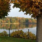 Herbst am Teich