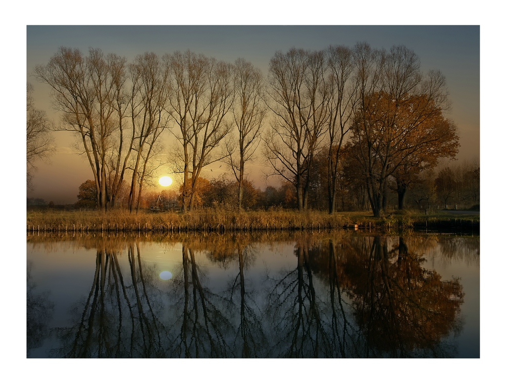 Herbst am Teich