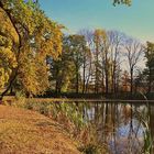 Herbst am Teich