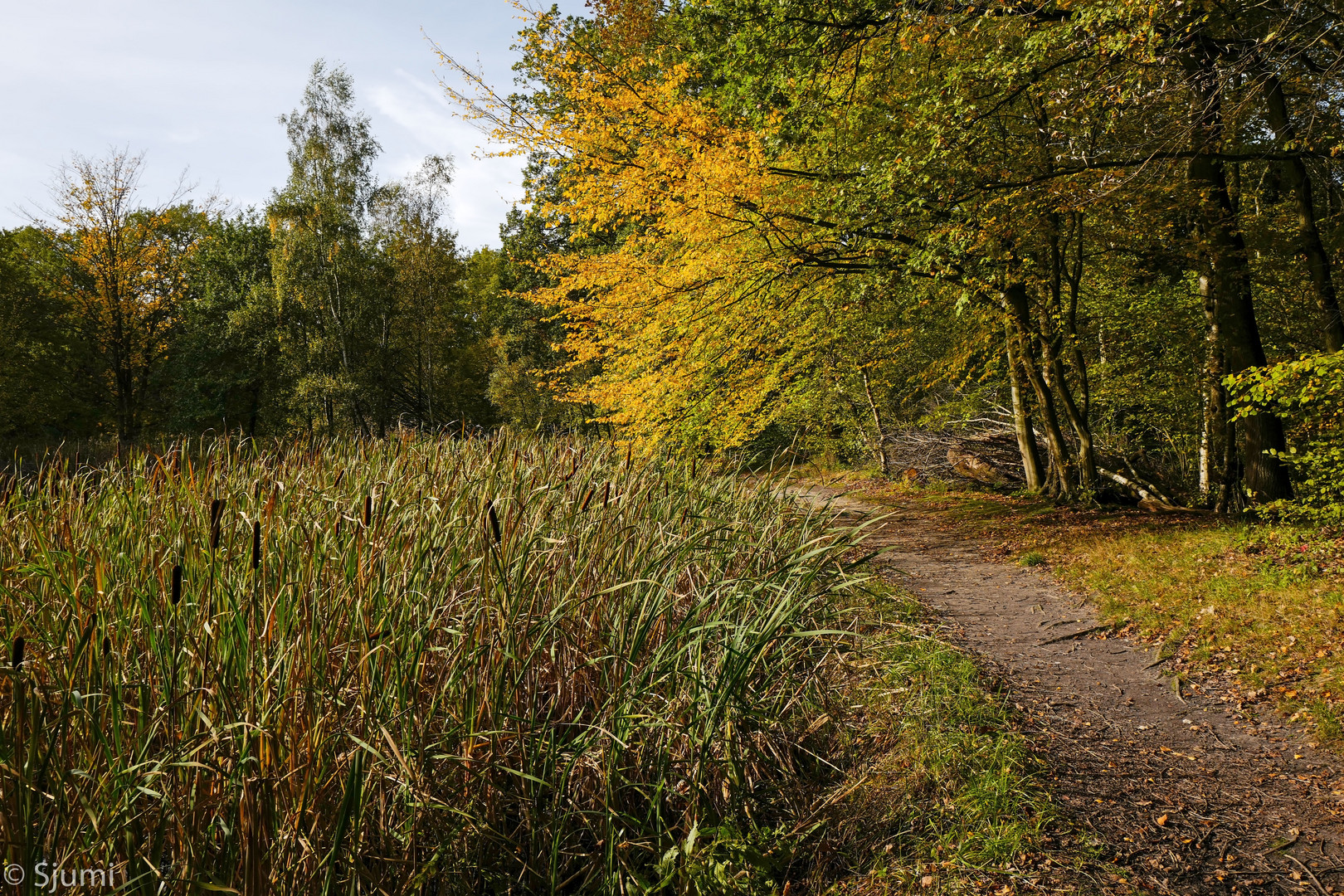 Herbst am Teich Foto & Bild wege und pfade Bilder auf