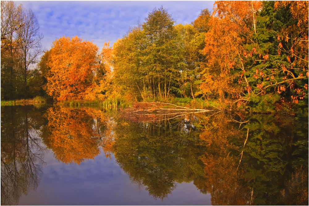 Herbst am Teich Foto & Bild jahreszeiten, herbst, natur Bilder auf