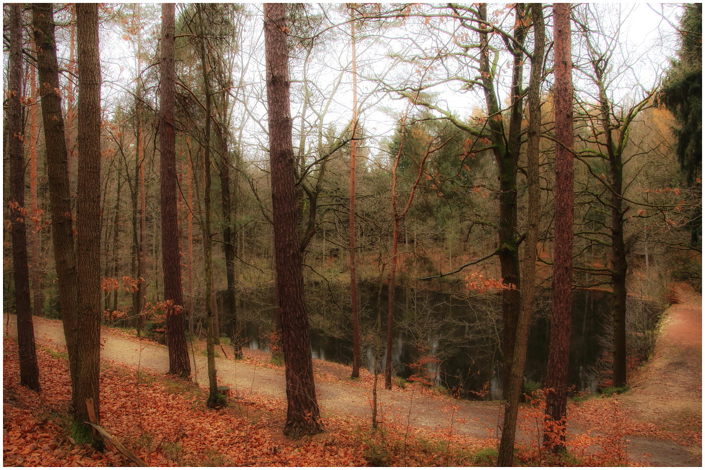 Herbst am Teich