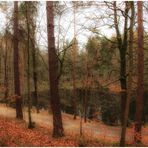 Herbst am Teich