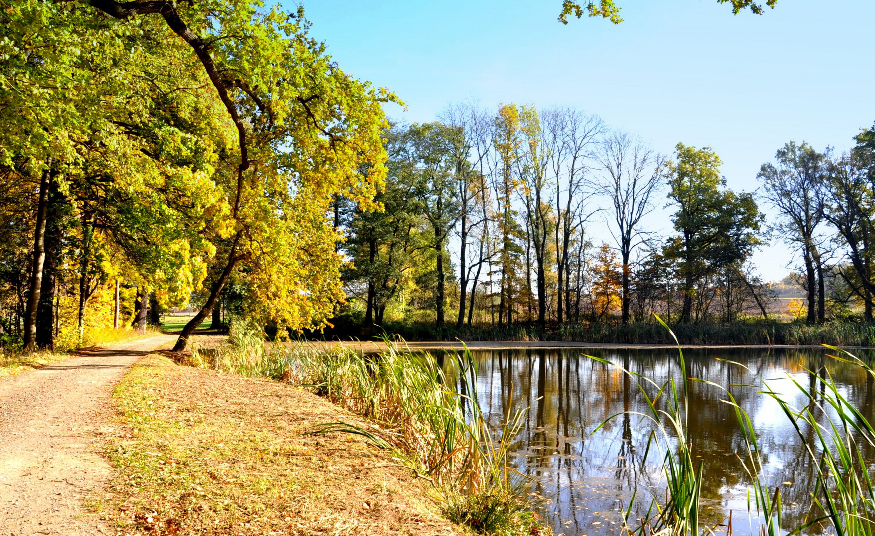 Herbst am Teich Foto & Bild jahreszeiten, herbst, projekte Bilder auf