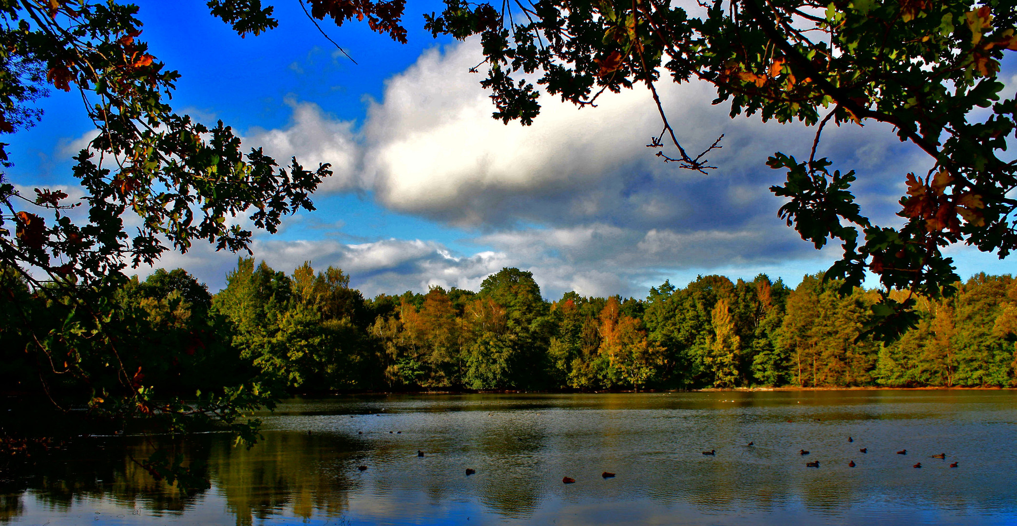 herbst am teich