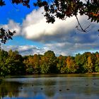 herbst am teich