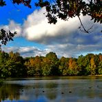 herbst am teich