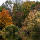 Herbst am Teich