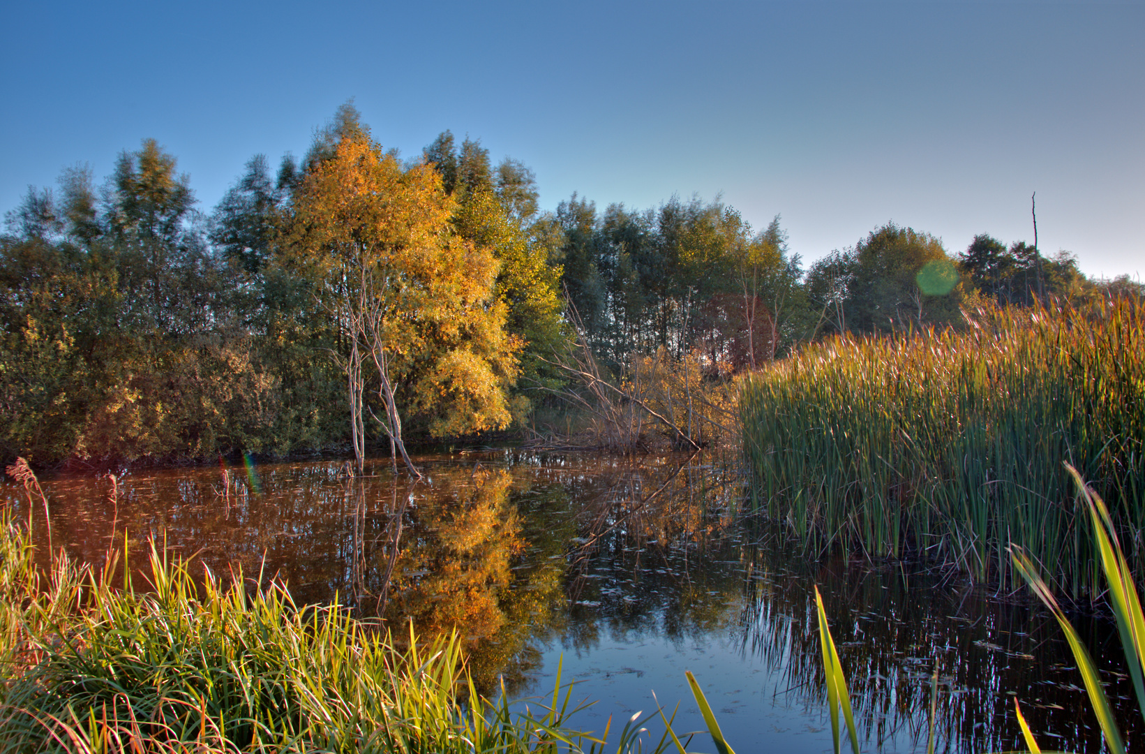 Herbst am Teich