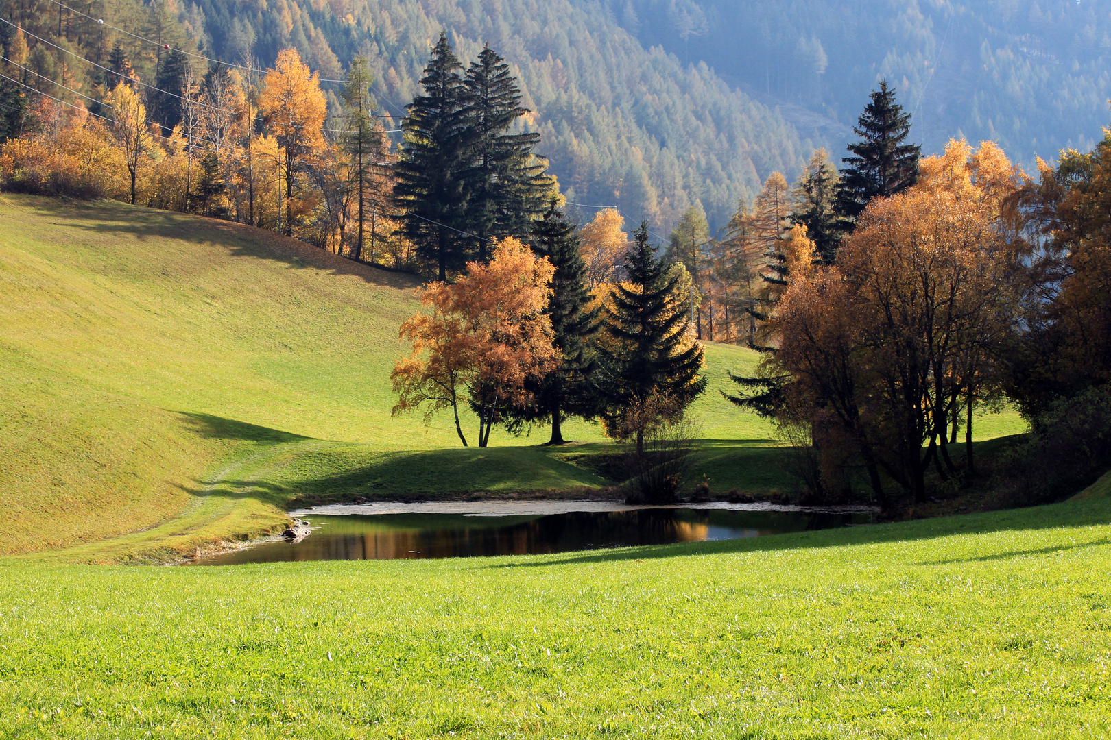 Herbst am Teich