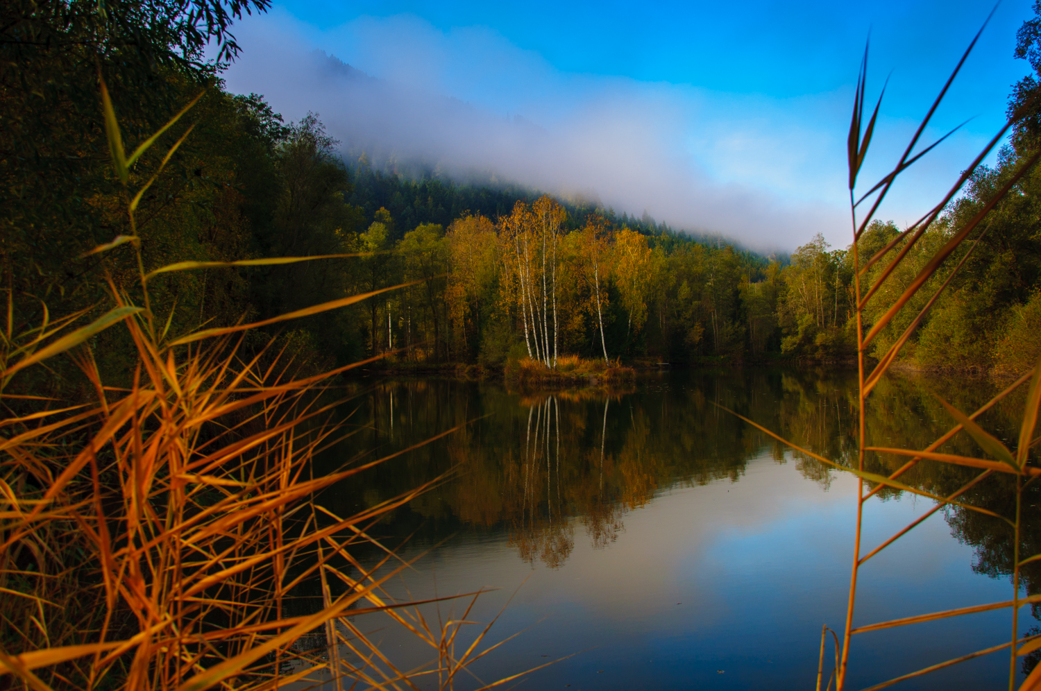 Herbst am Teich