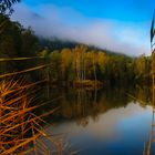 Herbst am Teich