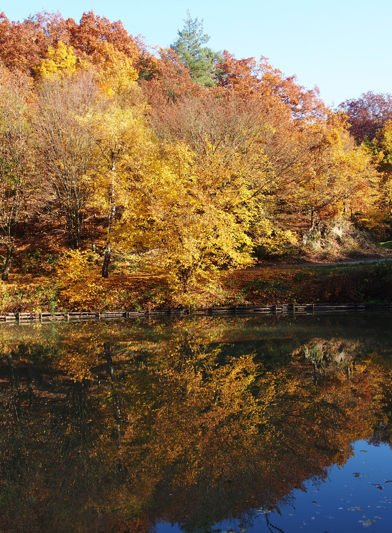 Herbst am Teich Foto & Bild jahreszeiten, herbst, landschaften Bilder