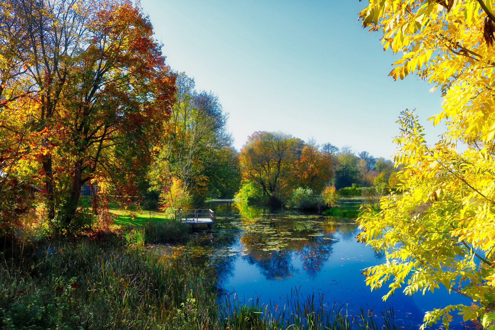 Herbst am Teich Foto & Bild deutschland, europe, bayern Bilder auf