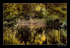 - Herbst am Teich -