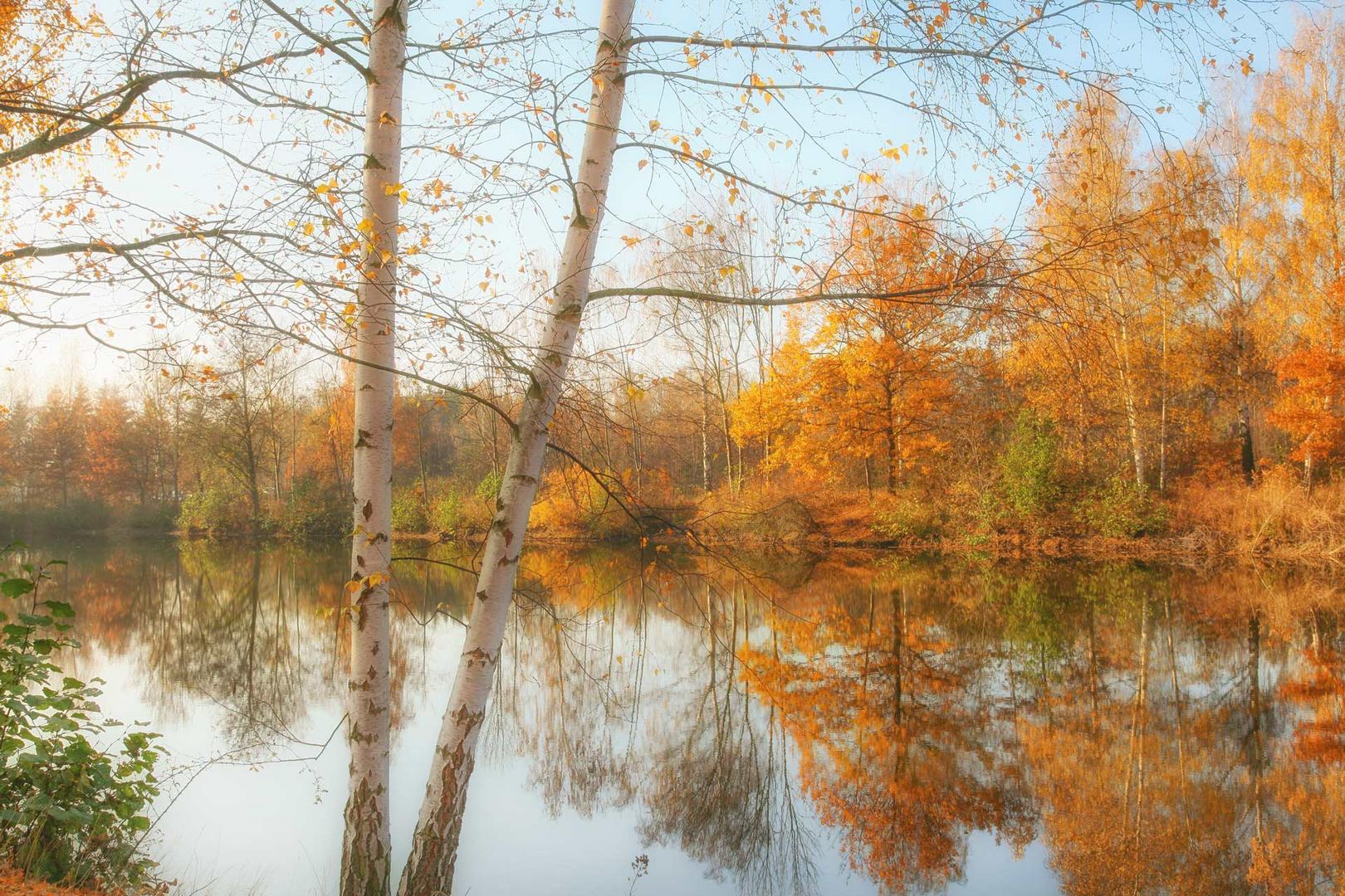 Herbst am Teich Foto & Bild bäume, licht, himmel Bilder auf