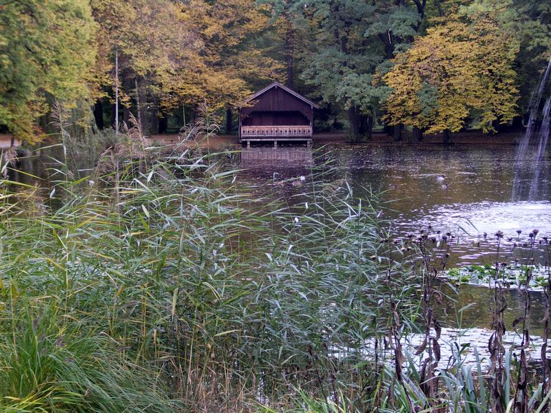 Herbst am Teich