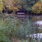 Herbst am Teich