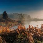  Herbst am Teich 