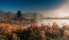  Herbst am Teich 