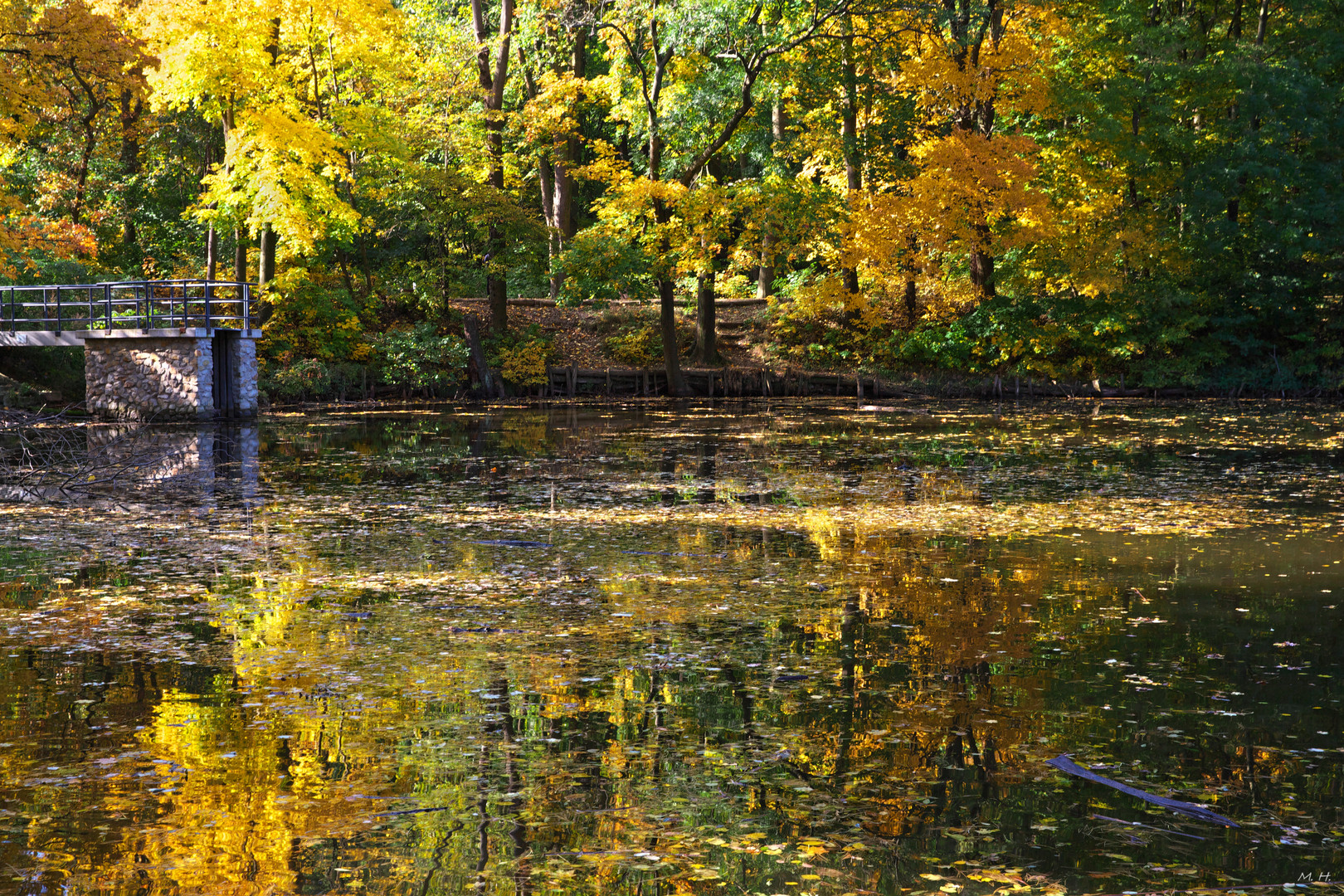 Herbst am Teich ... 