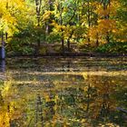 Herbst am Teich ... 