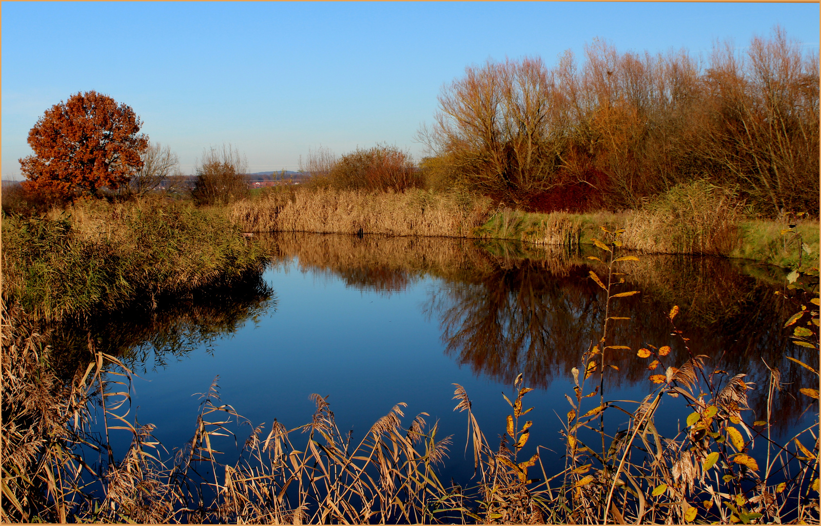 Herbst am Teich.