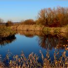 Herbst am Teich.