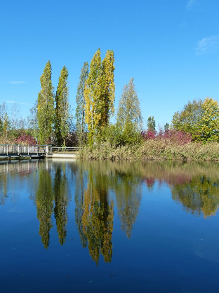 Herbst am Teich Foto & Bild landschaft, jahreszeiten, herbst Bilder