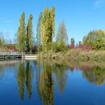 Herbst am Teich