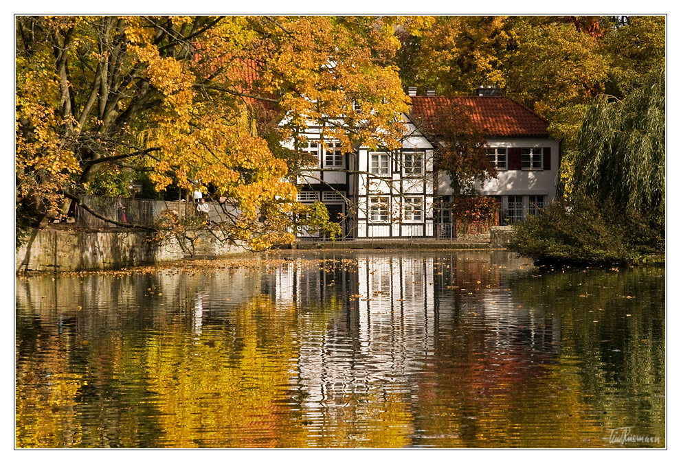 herbst am teich