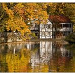 herbst am teich