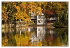 herbst am teich