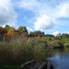 Herbst am Teich