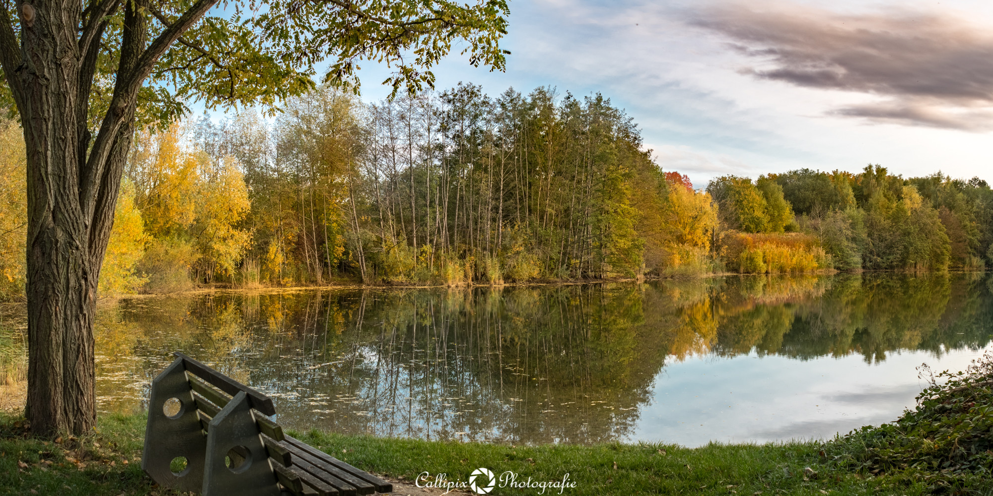 Herbst am Teich