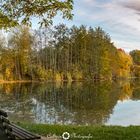 Herbst am Teich