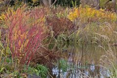  Herbst am Teich