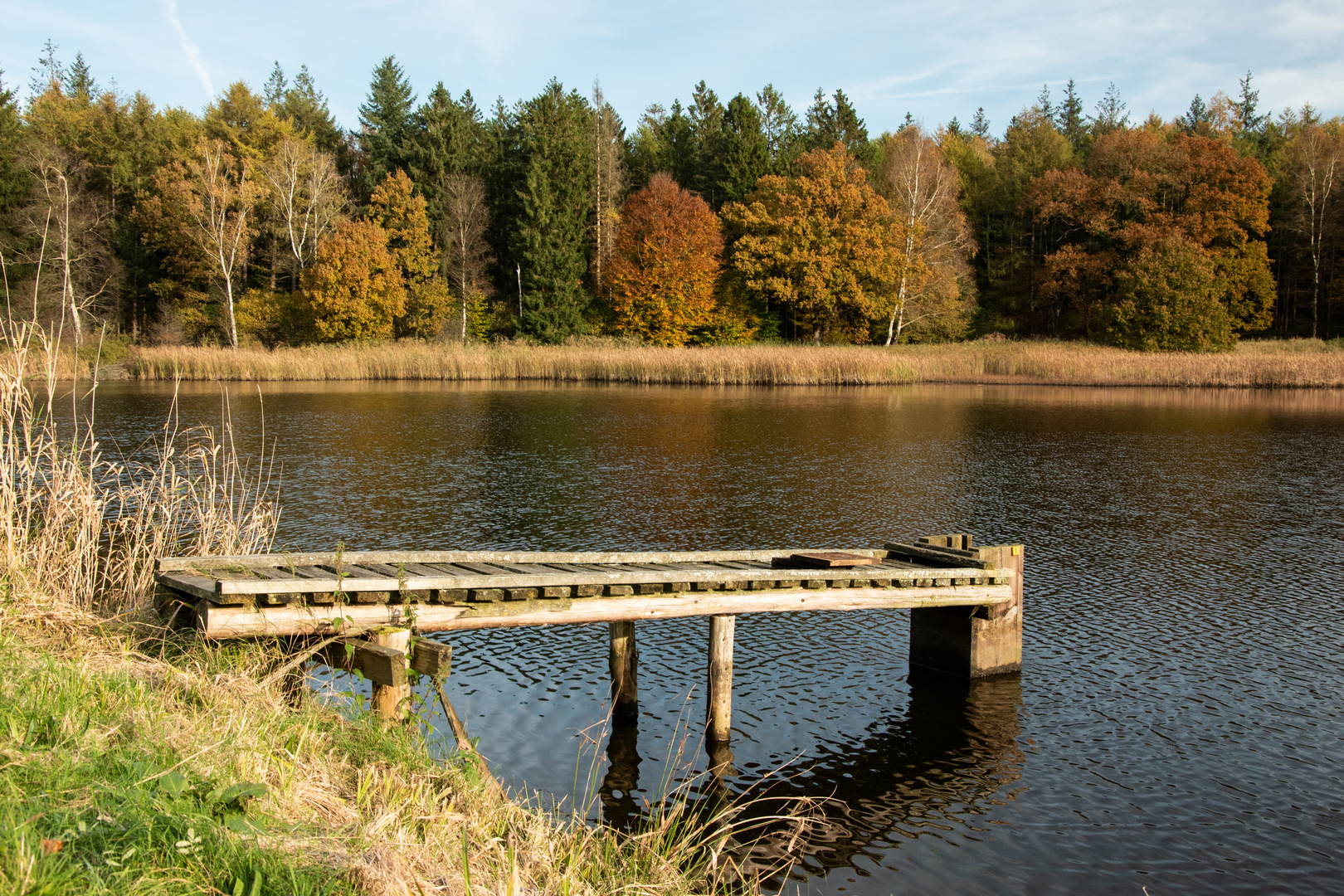 Herbst am Teich