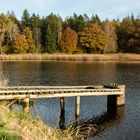 Herbst am Teich