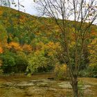 Herbst am Teich