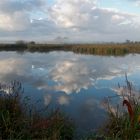 Herbst am Teich