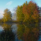 Herbst am Teich