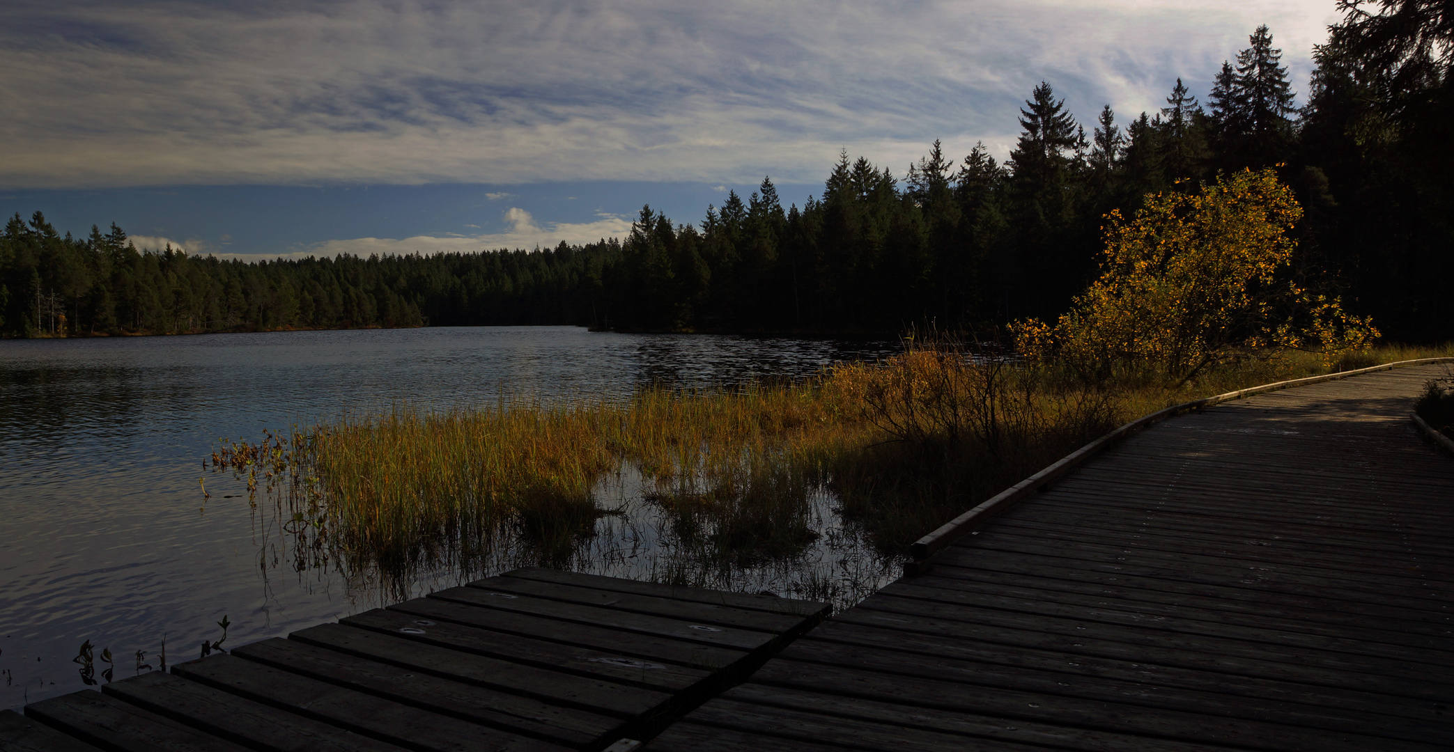 Herbst am Teich...